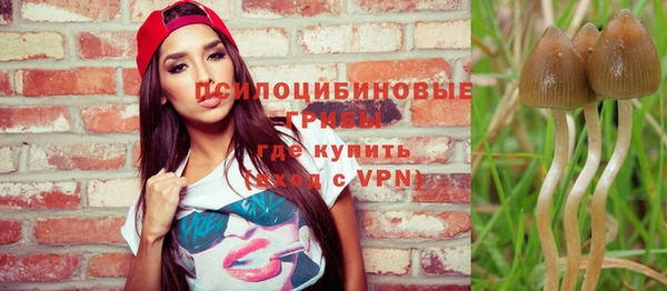 бошки Ладушкин