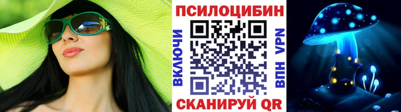 Купить где  Тотьма  Псилоцибиновые грибы мицелий 